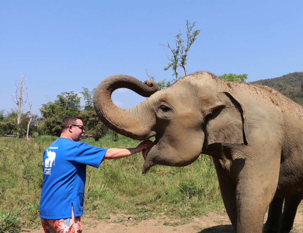 visitor interacting closely with elephant trunk at ethical sanctuary in Chiang Mai Thailand