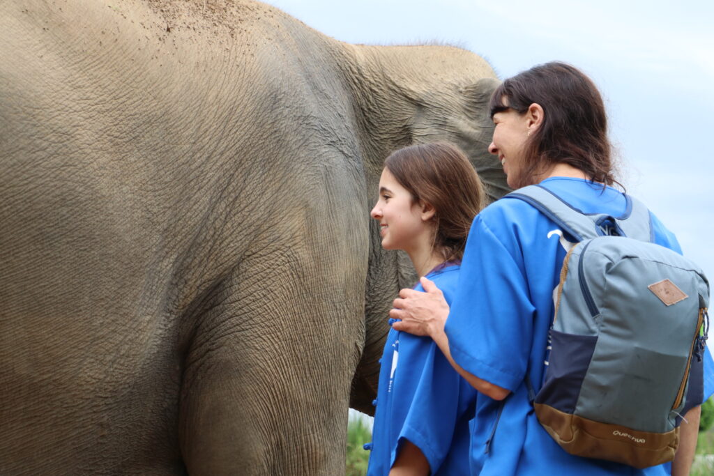 family interacting with elephant at ethical elephant sanctuary in Chiang Mai Thailand