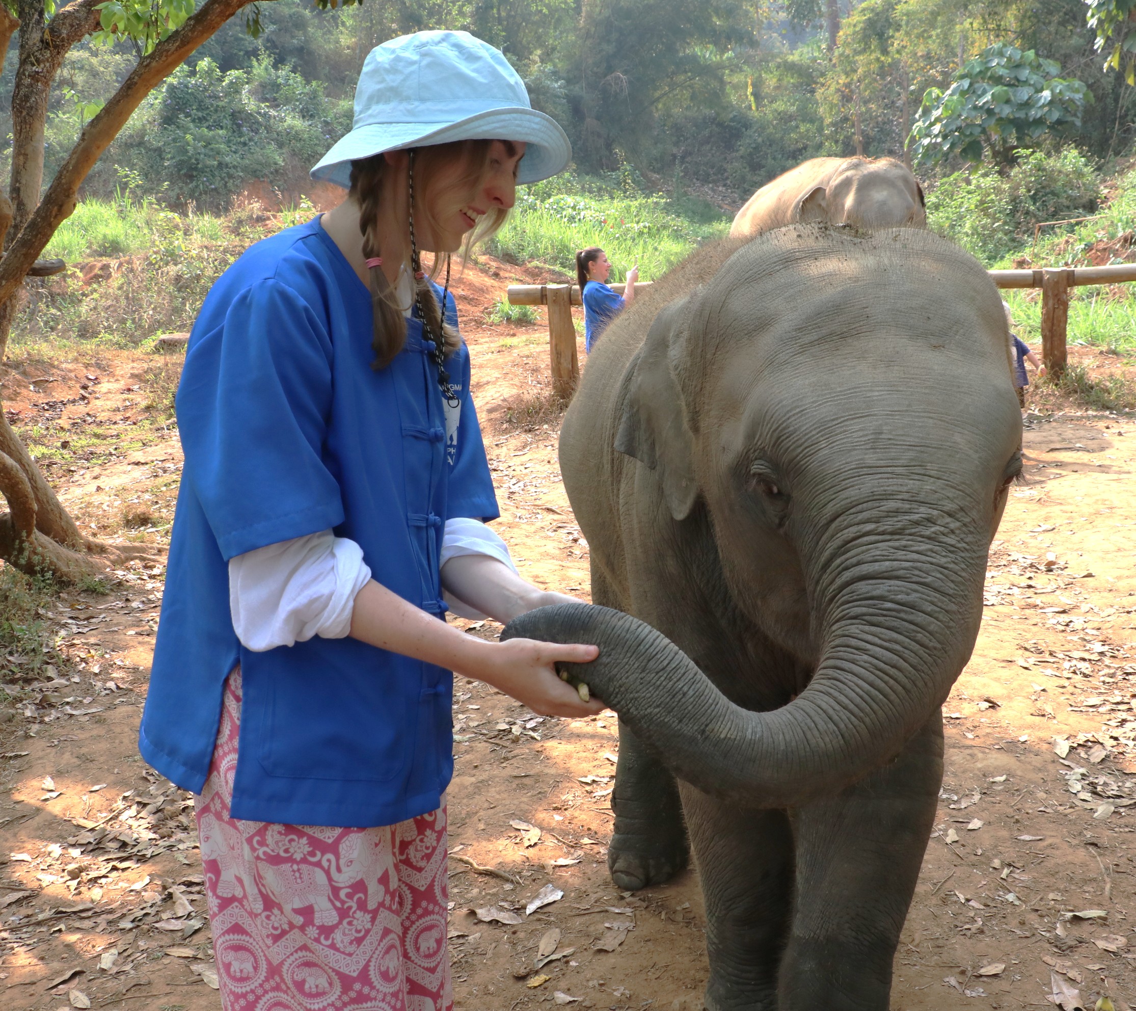 Tourist interacting with elephant at Chiang Mai Elephant Care ethical sanctuary