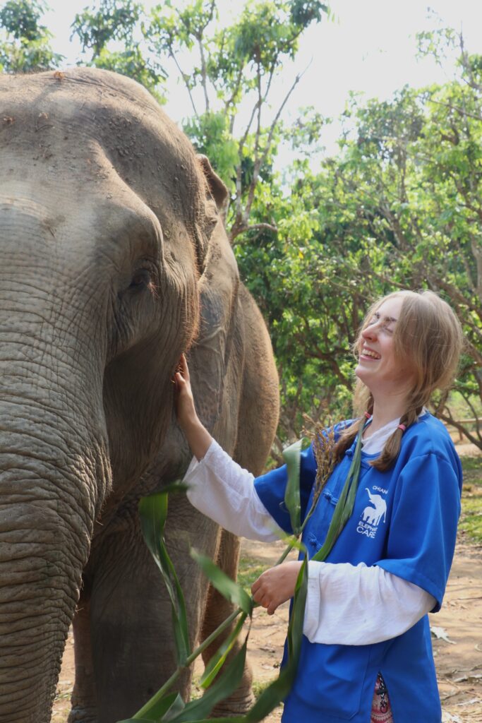 tourist smiling while interacting with elephant at ethical sanctuary in Chiang Mai Thailand